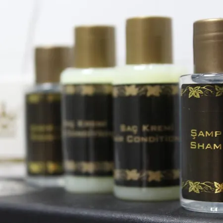 Szálloda Yelken Yenisehir 3*